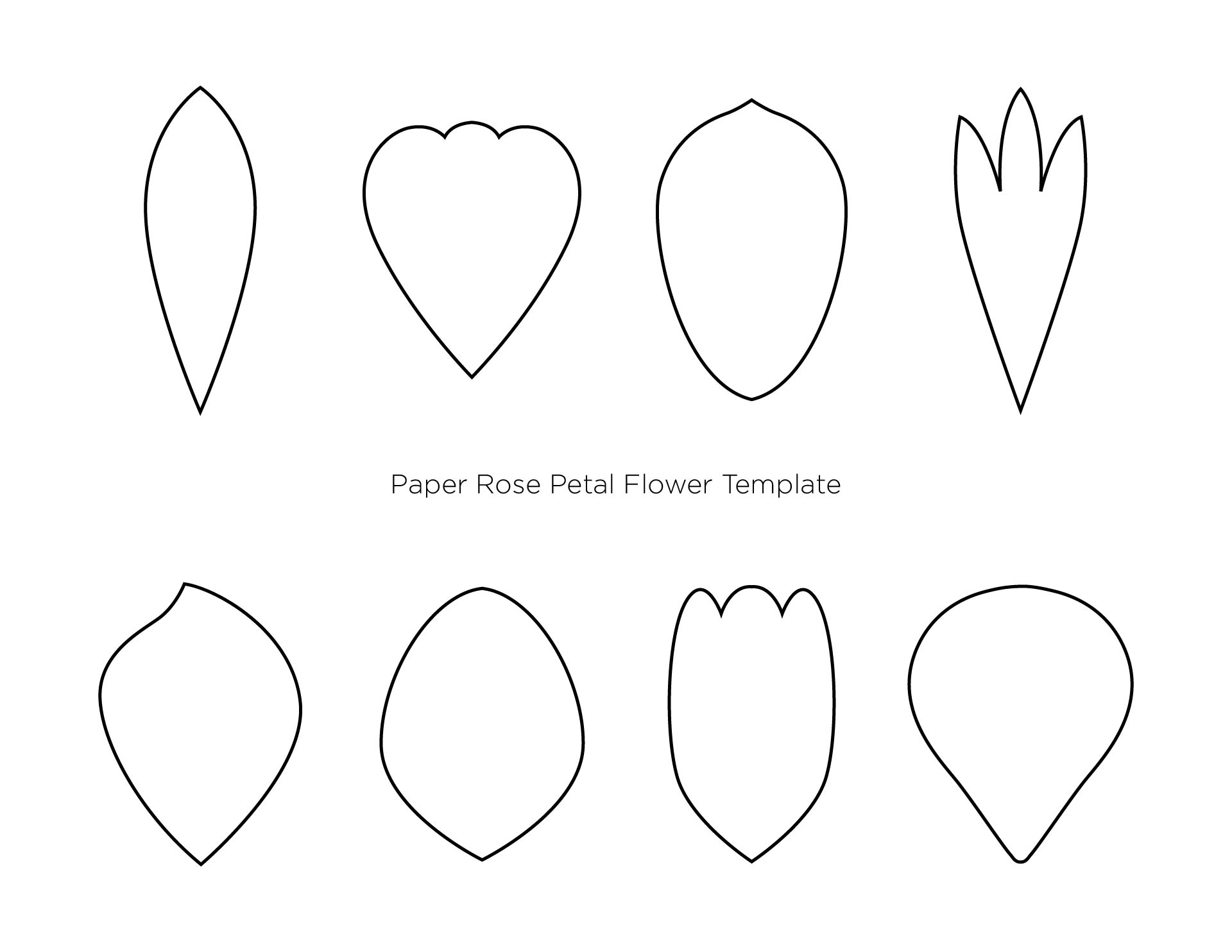 7 Best Images Of Paper Flower Petal Template Printable Printable 
