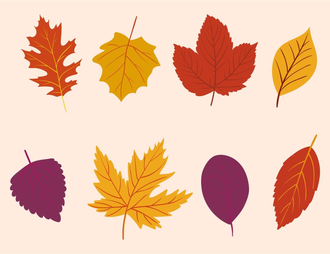 Autumn Leaves Decor 10 Free PDF Printables Printablee