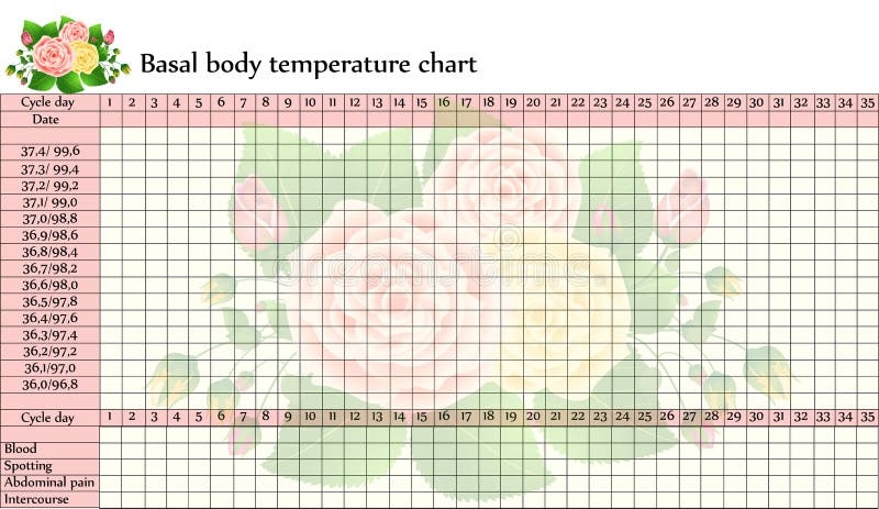 Basal Body Chart Printable