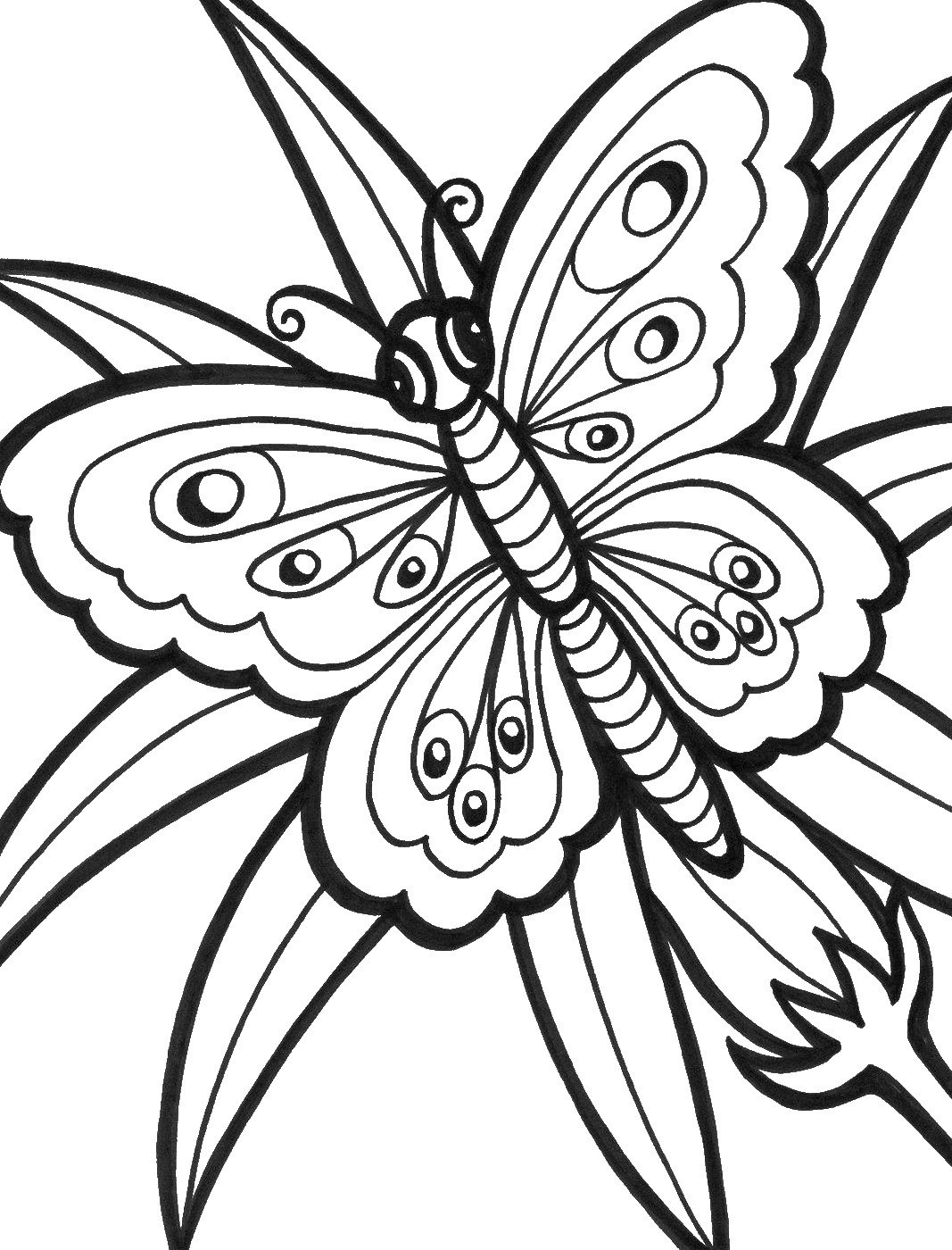 Butterfly Coloring Pages