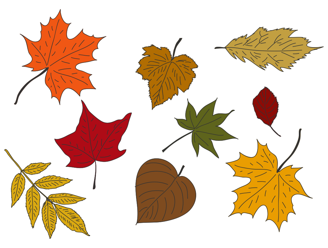 Fall Leaves 10 Free PDF Printables Printablee
