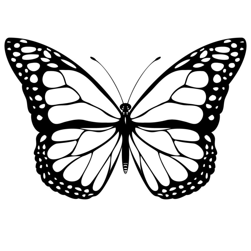 Free Printable Butterfly Coloring Pages For Kids