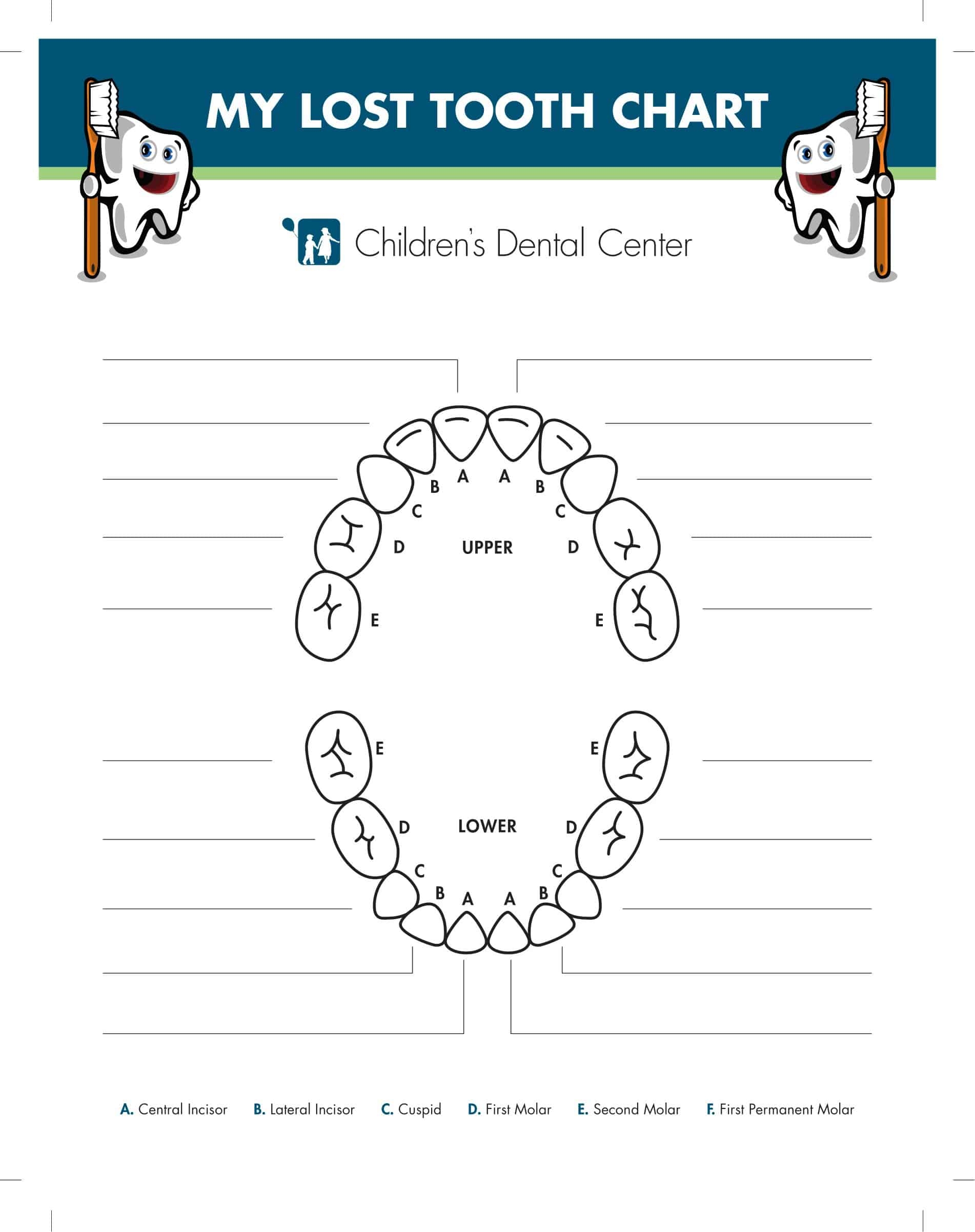 Free Printable Tooth Chart Templates Dental Chart Teeth Numbers PDF