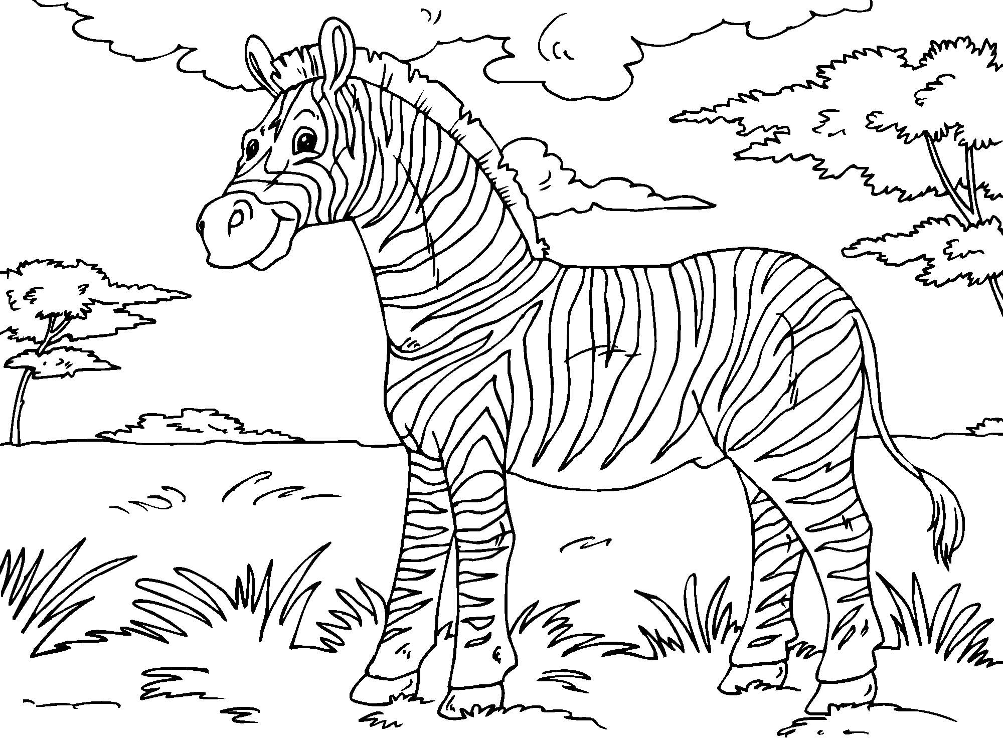 Printable Zebra Coloring Pages