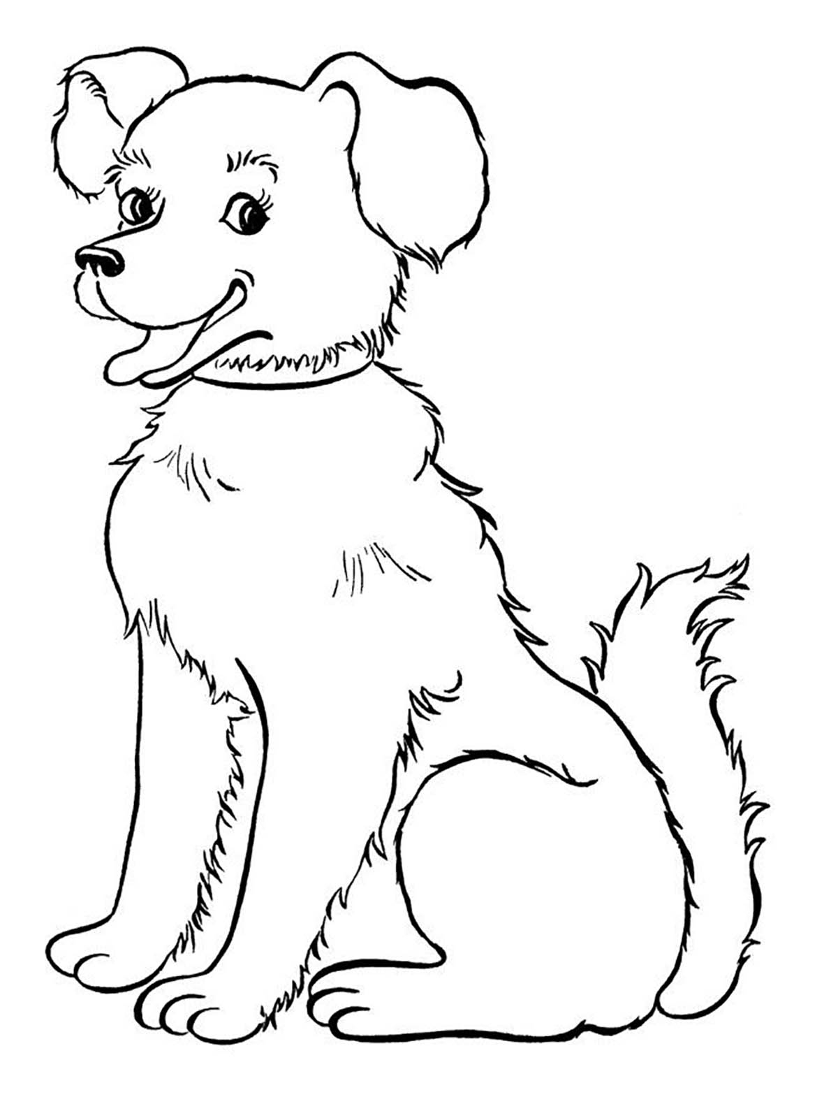 Sitting Dog Dog Coloring Pages For Kids