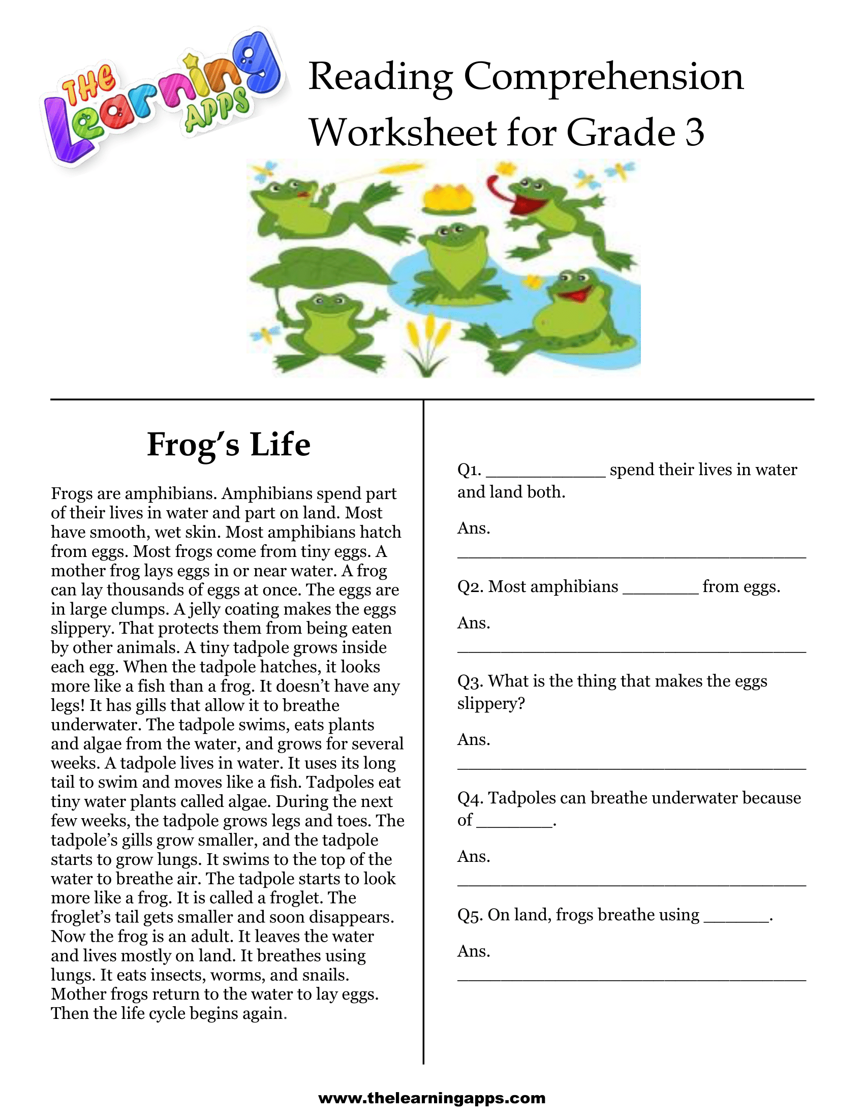 Third Grade Reading Comprehension Activities