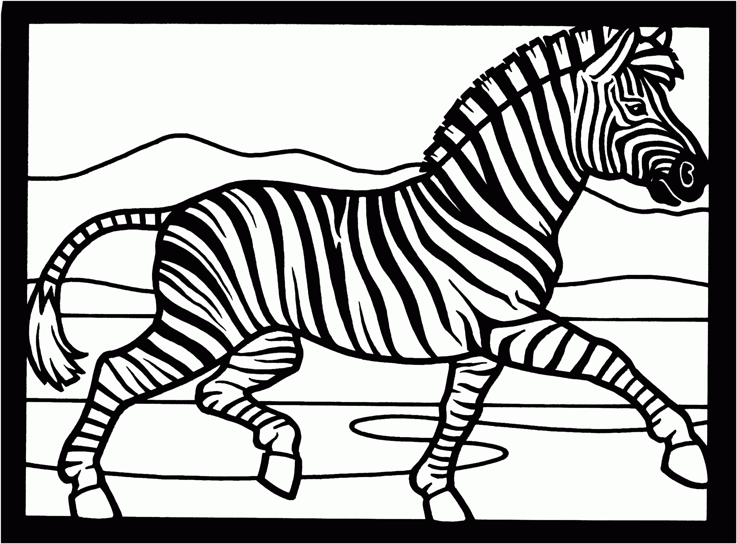 Zebra Coloring Page Printable