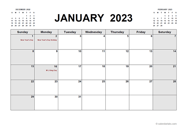 Blank 2023 Calendar Printable
