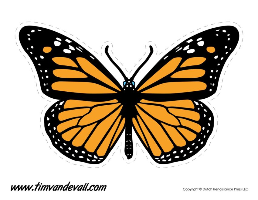 Butterfly Drawing Template At GetDrawings Free Download