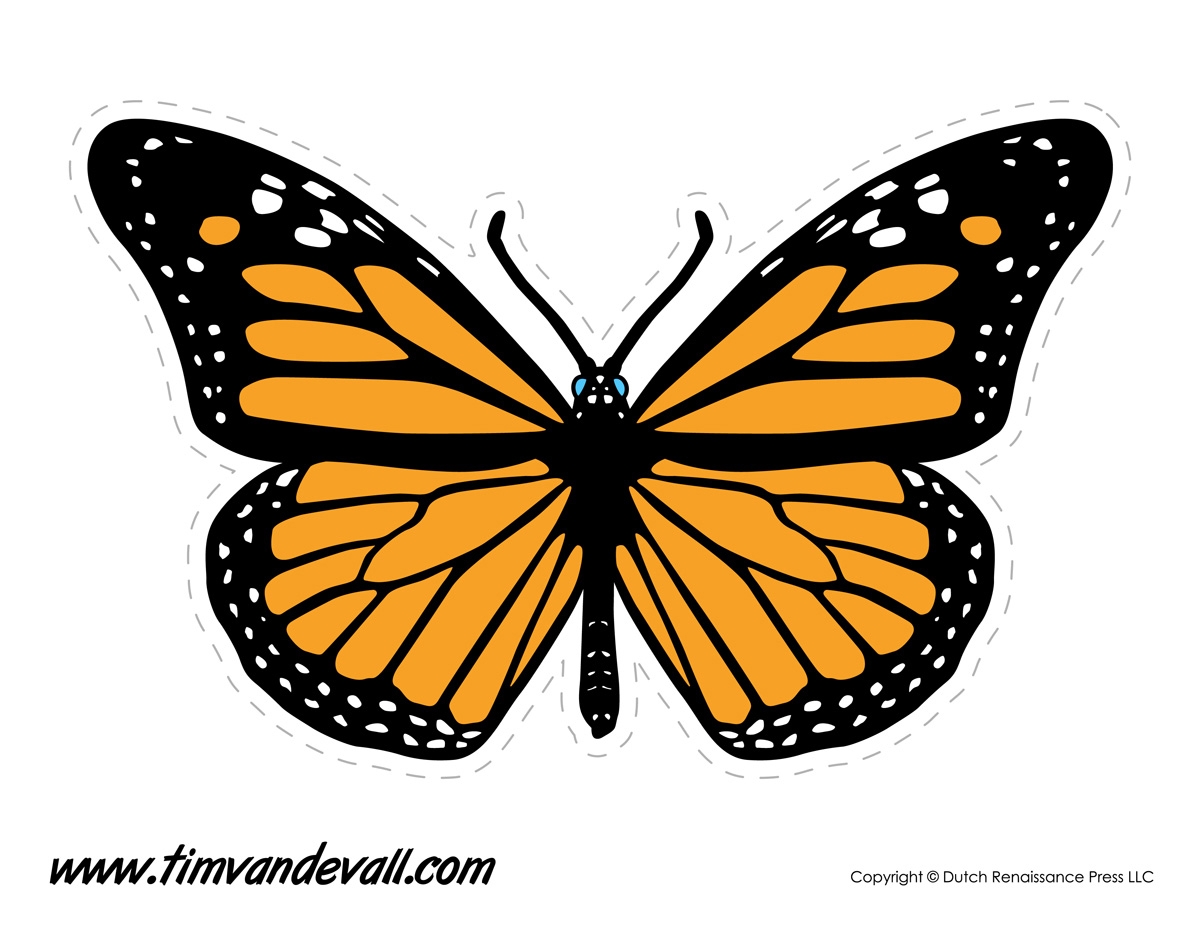 Butterfly Drawing Template At GetDrawings Free Download