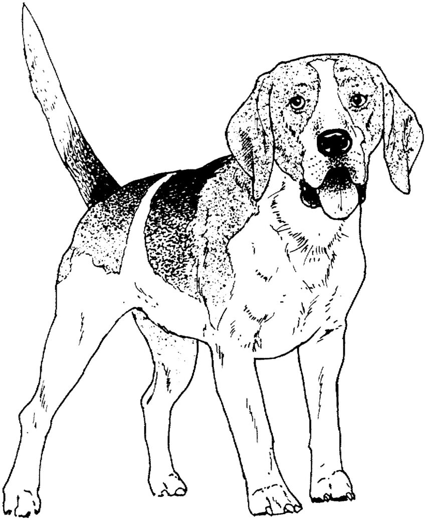 Dog Coloring Pages Printable At GetColorings Free Printable