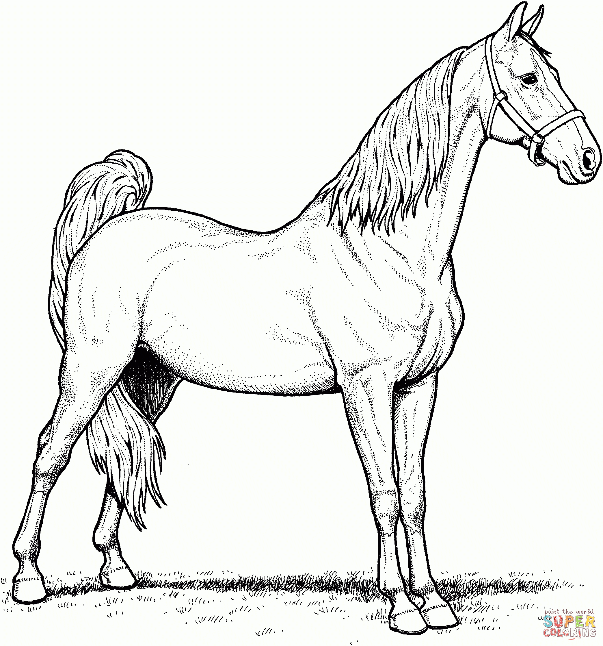 Free Coloring Pages Horses Printable
