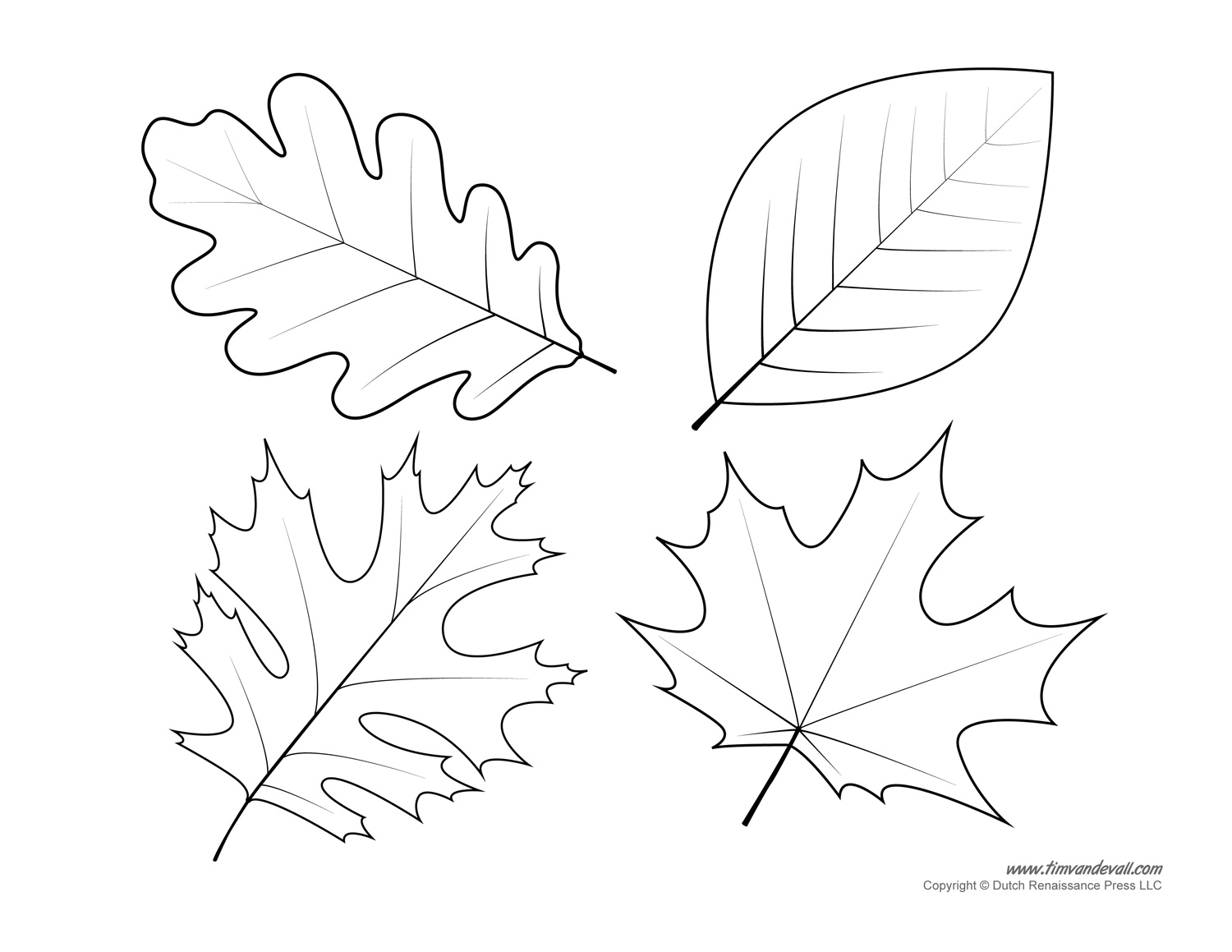Leaf Templates Leaf Coloring Pages For Kids Leaf Printables Tim 39 s 