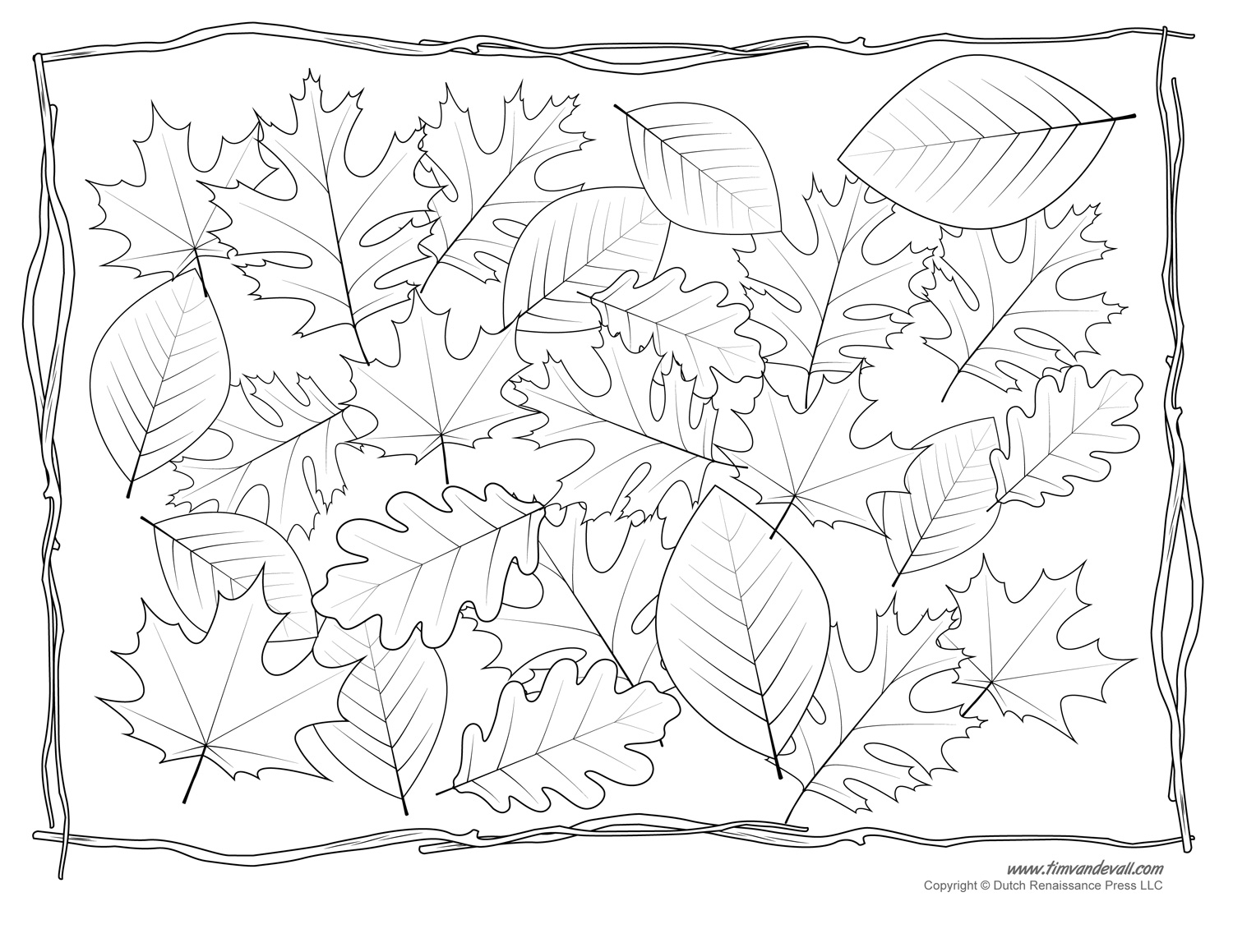 Coloring Pages Of Leaves Free Printables