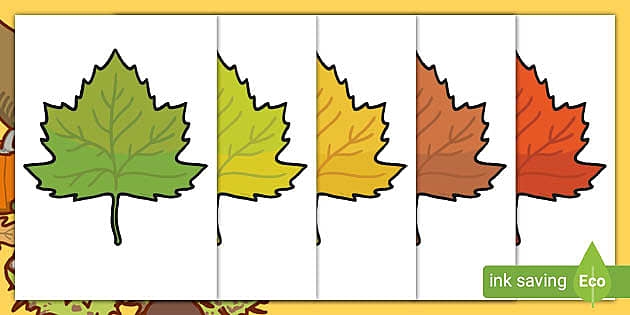  Printable Pictures Of Autumn Leaves A4 Cut Outs