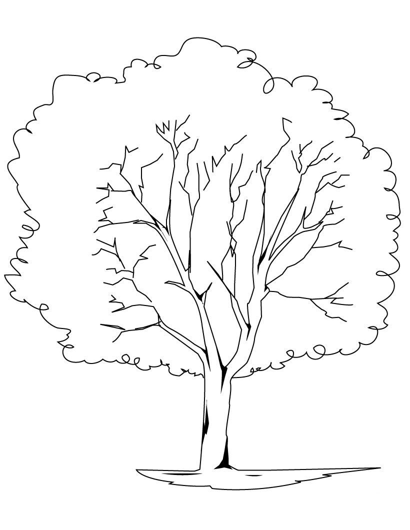 Tree Coloring Pages Printable