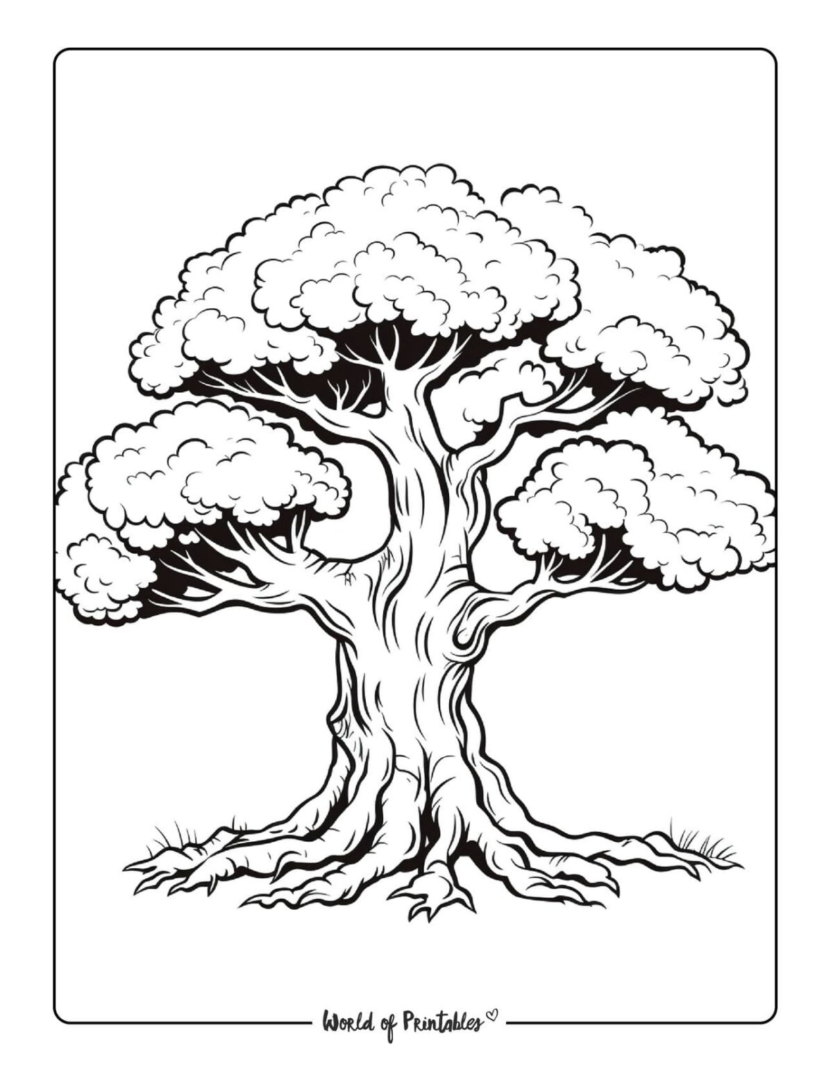 Tree Coloring Pages World Of Printables