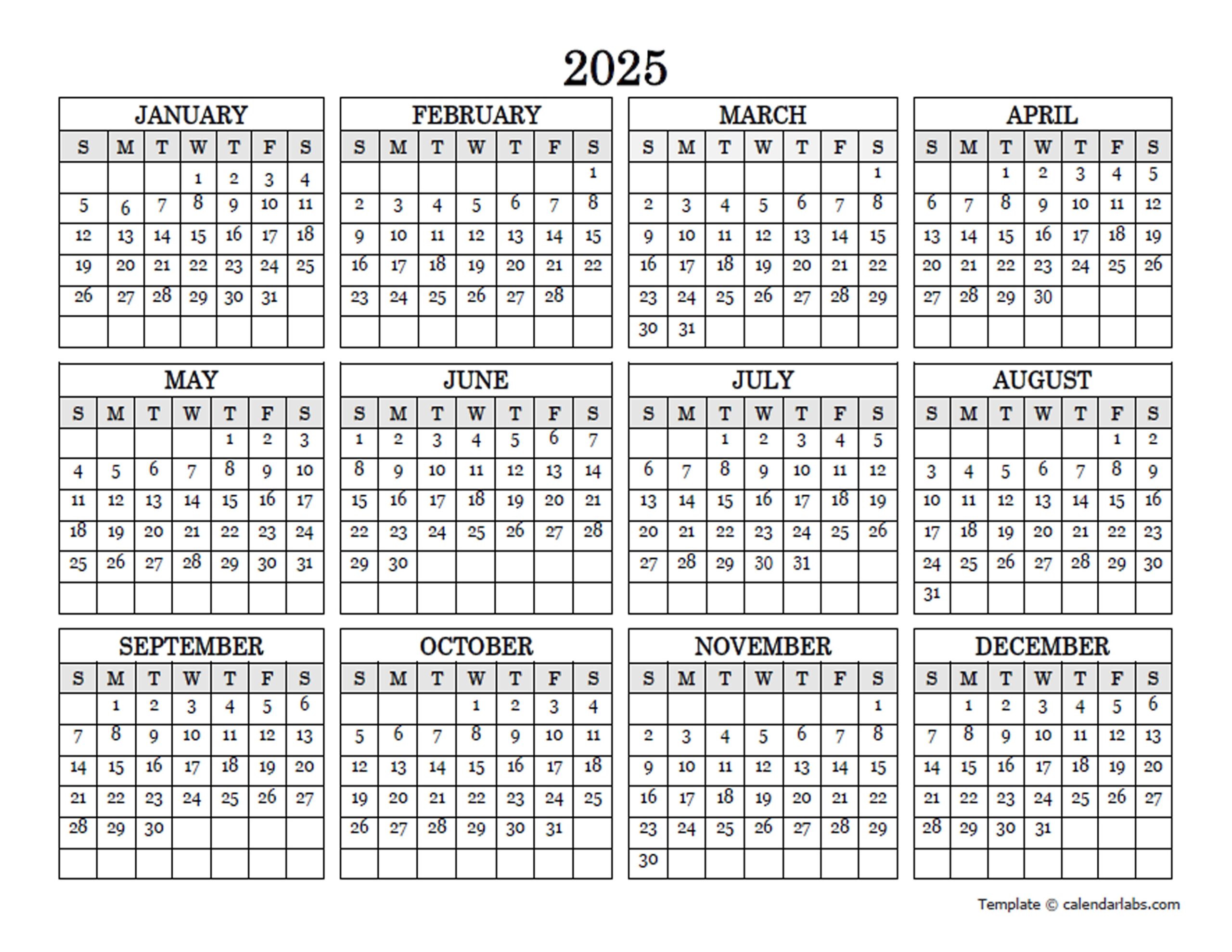 Year At A Glance Calendar 2025 Printable Free Ralf J Dresner